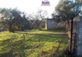 Terreno no urbanizable en venta en Jerez de los Caballeros ref: TR252358 foto