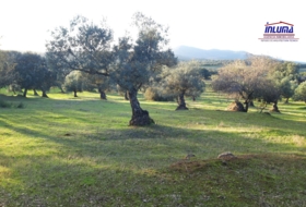 Jerez de los Caballeros 15700&nbsp;m²