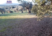 Terreno no urbanizable en venta en Jerez de los Caballeros ref: TR252358 foto