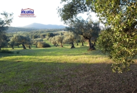 Jerez de los Caballeros 15700&nbsp;m²