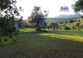 Terreno no urbanizable en venta en Jerez de los Caballeros ref: TR252358 foto