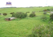 Finca rústica en venda a Jerez de los Caballeros ref.: TR285270 foto
