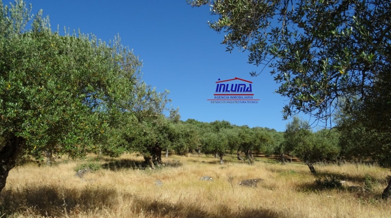 Badajoz - Higuera la Real - 3300m2