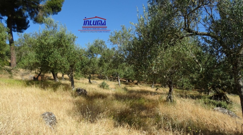 Badajoz - Higuera la Real - 3300m2