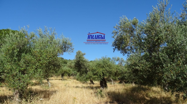 Badajoz - Higuera la Real - 3300m2