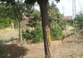 Sòl urbà en venda a Trobajo del Camino ref.: TR53157 foto