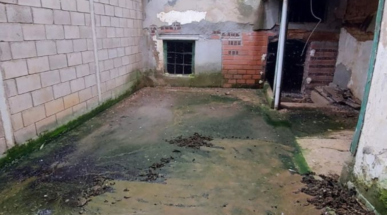 León - Mansilla de las Mulas - 350m2