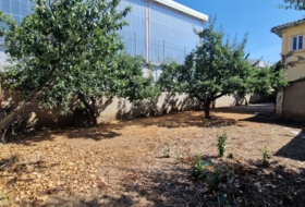 Lleó 358&nbsp;m² 