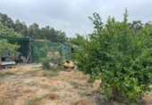 Finca rústica en venda a Jerez de la Frontera ref.: TR348169 foto