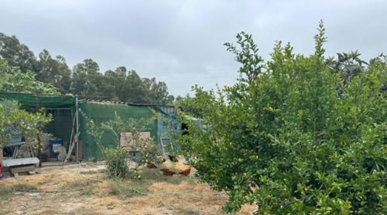 Cadiz - Jerez de la Frontera - 3600m2