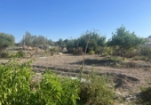 Finca rústica en venda a Jerez de la Frontera ref.: TR348169 foto