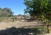 Finca rústica en venda a Jerez de la Frontera ref.: TR348169 foto