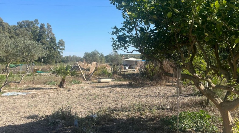 Cadiz - Jerez de la Frontera - 3600m2