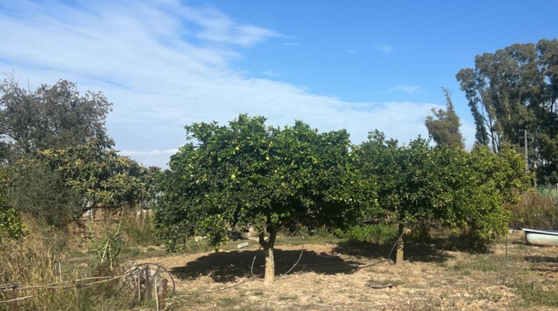 Cadiz - Jerez de la Frontera - 3600m2