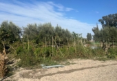 Finca rústica en venda a Jerez de la Frontera ref.: TR348169 foto