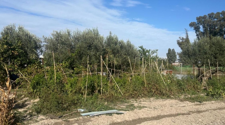 Cadiz - Jerez de la Frontera - 3600m2
