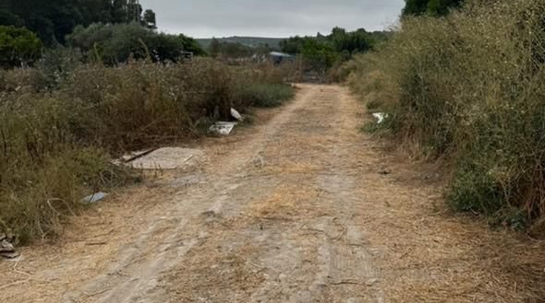 Cadiz - Jerez de la Frontera - 3600m2
