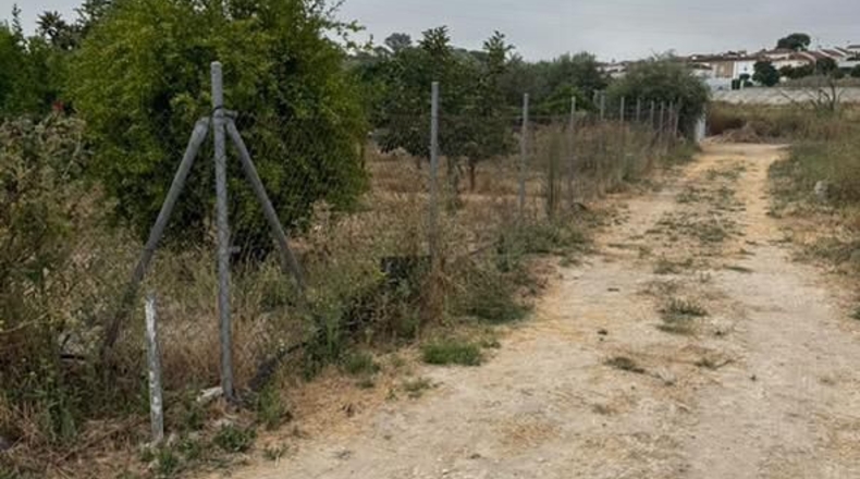 Cadiz - Jerez de la Frontera - 3600m2