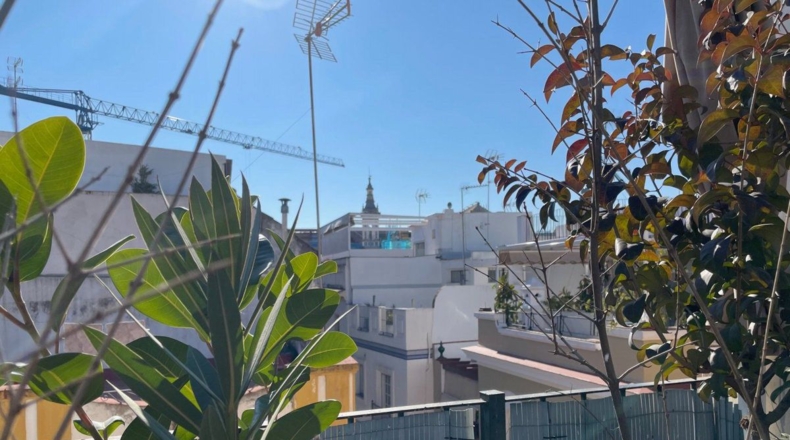 Sevilla - Sevilla - 220m2