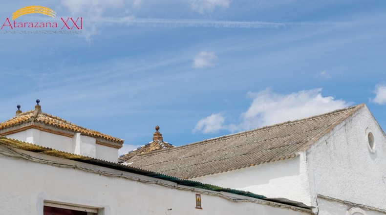 Sevilla - Gerena - 773m2