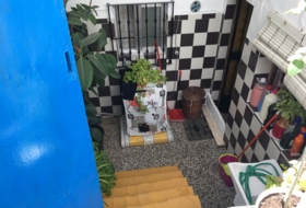 Foto 15