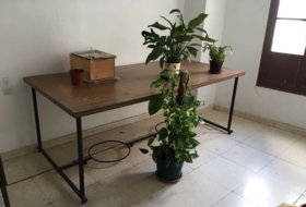 Foto 11