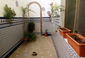 Foto 15