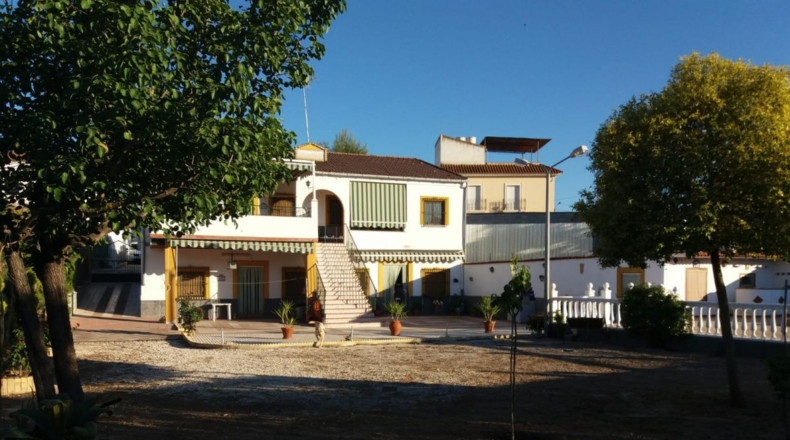 Córdoba - Puente Genil - 800m2