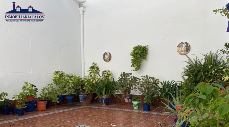 Sevilla - El Rubio - 600m2