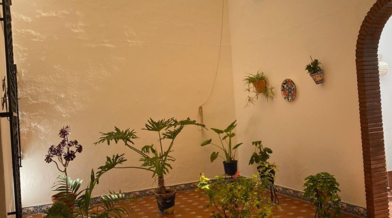 Sevilla - El Rubio - 600m2
