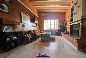 Montilla 700&nbsp;m² 