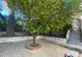 Xalet independent amb terreny en venda a Montilla ref.: TR65745 foto