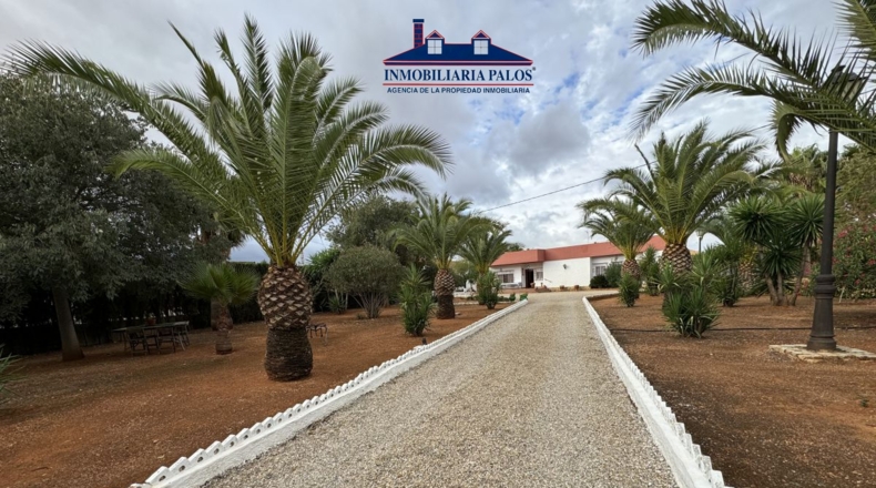 Córdoba - Puente Genil - 7800m2