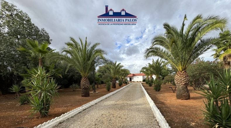 Córdoba - Puente Genil - 7800m2