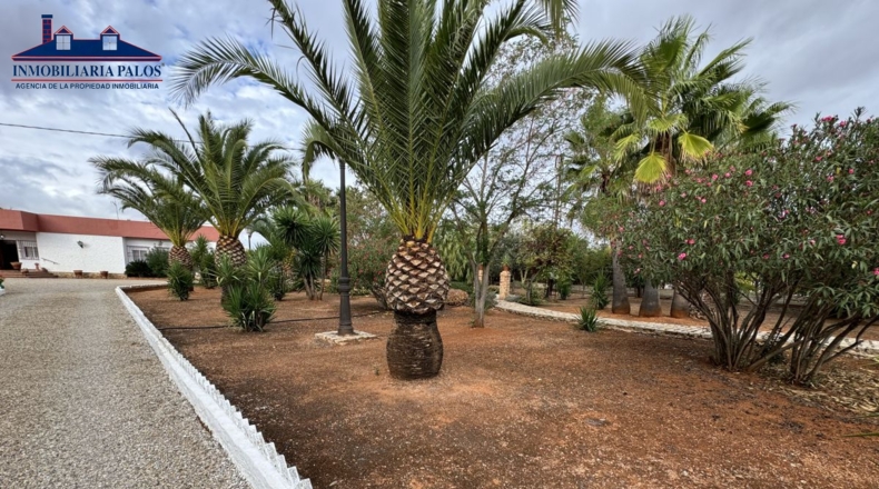 Córdoba - Puente Genil - 7800m2