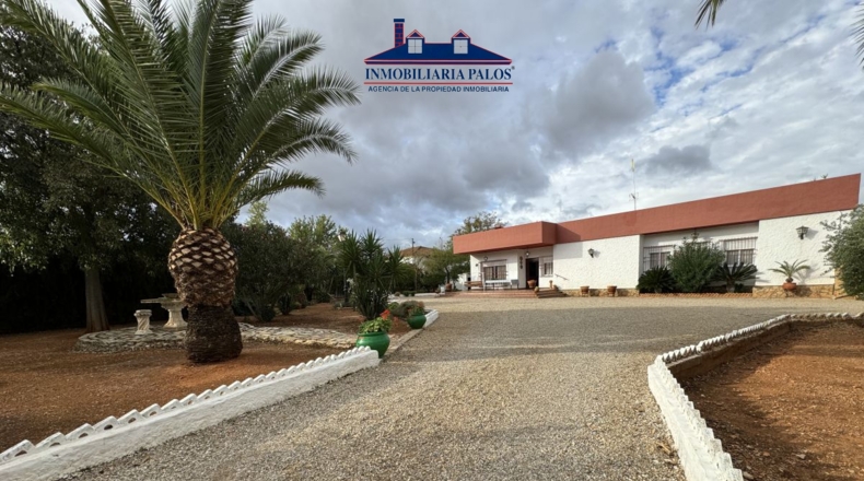Córdoba - Puente Genil - 7800m2
