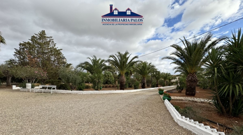 Córdoba - Puente Genil - 7800m2
