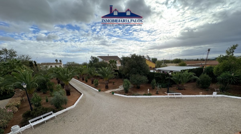 Córdoba - Puente Genil - 7800m2