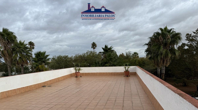 Córdoba - Puente Genil - 7800m2