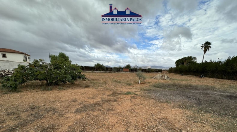 Córdoba - Puente Genil - 7800m2