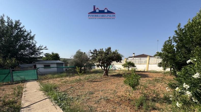 Córdoba - Puente Genil - 2200m2