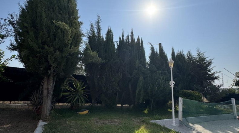 Córdoba - Puente Genil - 2200m2