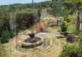 Rural estate for sale in San Bartolomé de la Torre ref: TR16028 photo