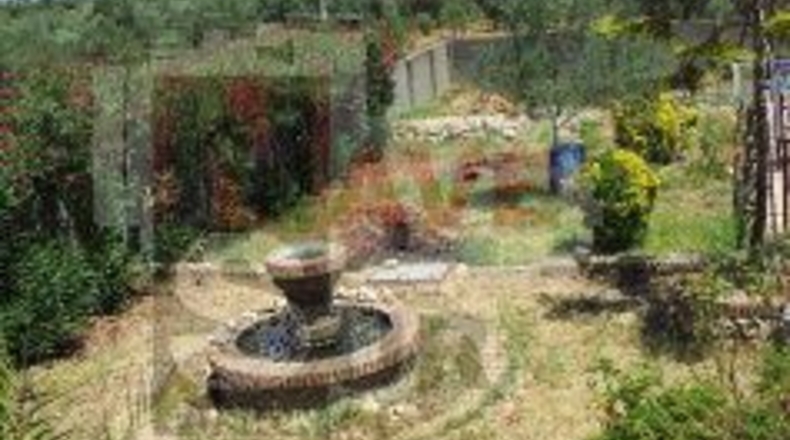 Huelva - San Bartolomé de la Torre - 1564m2