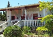 Rural estate for sale in San Bartolomé de la Torre ref: TR16028 photo