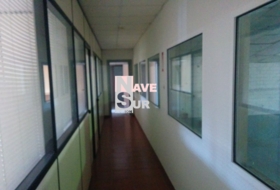 Foto 19
