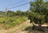 Land suitable for development for sale in Torre de Don Miguel ref: TR252372 photo