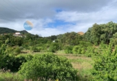 Land suitable for development for sale in Torre de Don Miguel ref: TR252372 photo