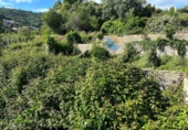 Land suitable for development for sale in Torre de Don Miguel ref: TR252372 photo