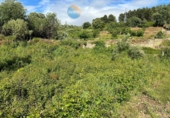 Land suitable for development for sale in Torre de Don Miguel ref: TR252372 photo